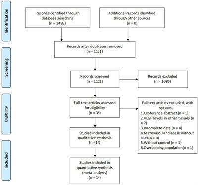 Vascular endothelial growth factor levels in diabetic peripheral neuropathy: a systematic review and meta-analysis